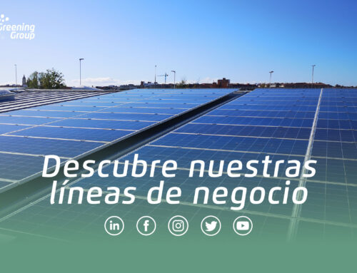 Descubre nuestras líneas de negocio